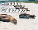 Ecuador e Galapagos