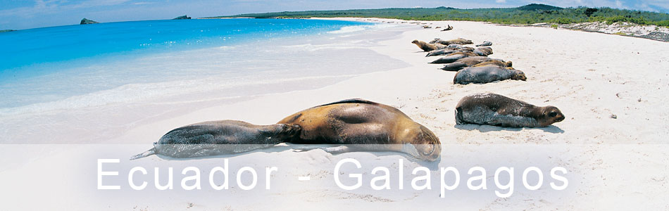 Ecuador e Galapagos