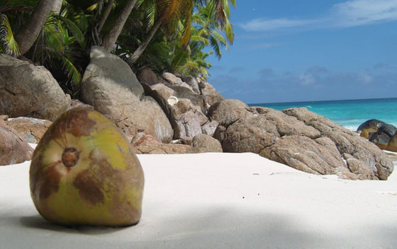 Fregate private island in Seychelles